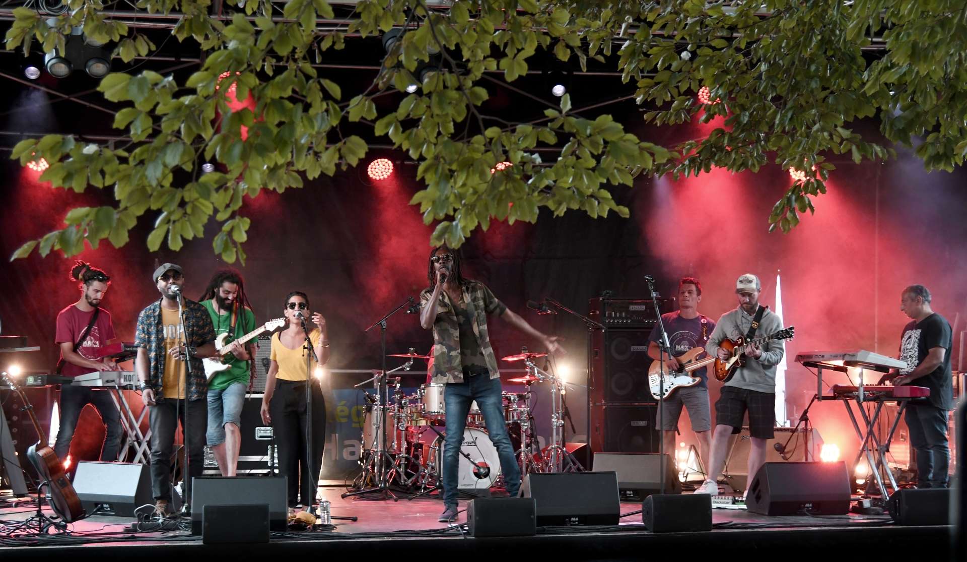 Max'1 and the Rootsmaker - Full band